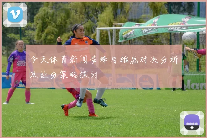 今天体育新闻黄蜂与雄鹿对决分析及让分策略探讨